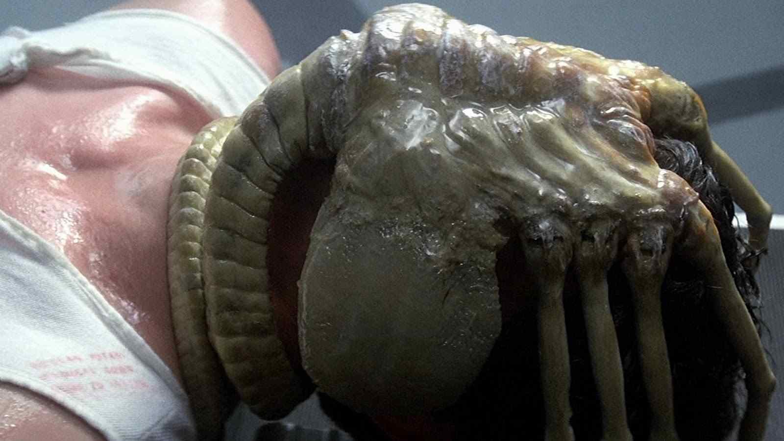 A face hugger in the Ridley Scott horror film Alien.