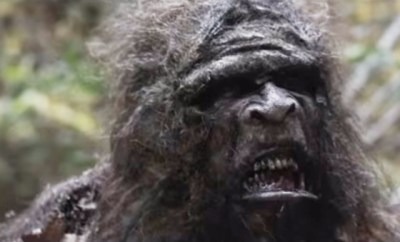 Stomping Ground still