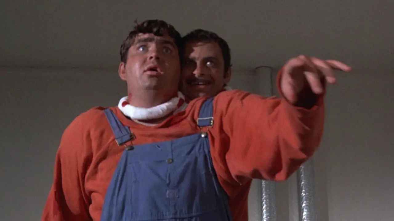 Two-headed transplant still