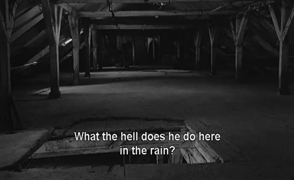 Satantango definitely LOOKS like a horror most of the time ...