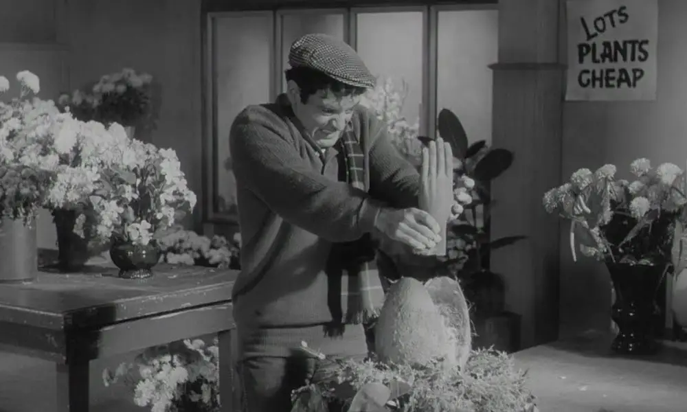 Little Shop of Horrors scene - Dick Miller feeds hand to hungry plant