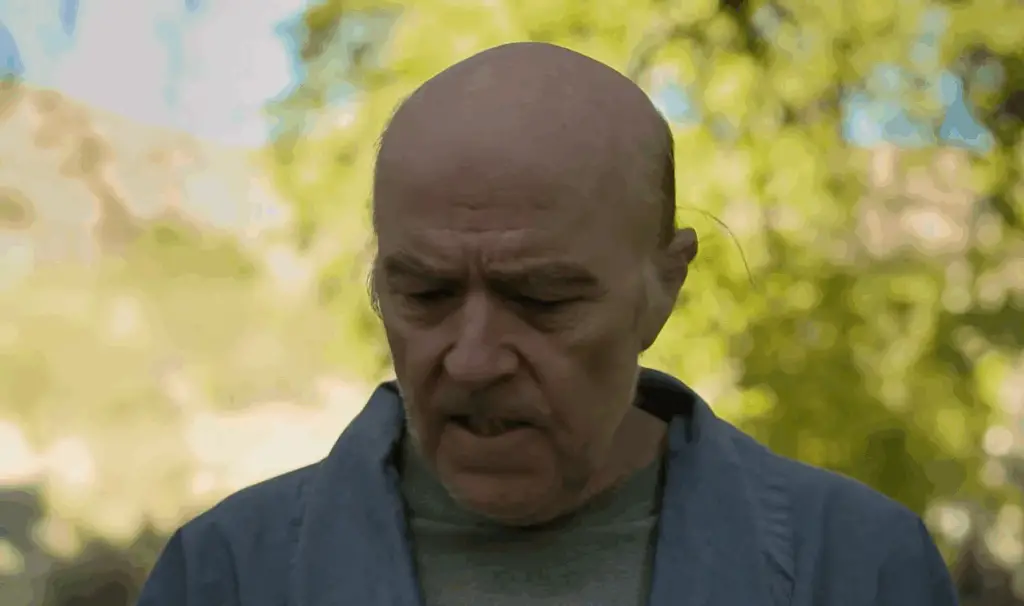 You do have to wonder what Freud would think about all of those flying spheres in the Phantasm movies ...