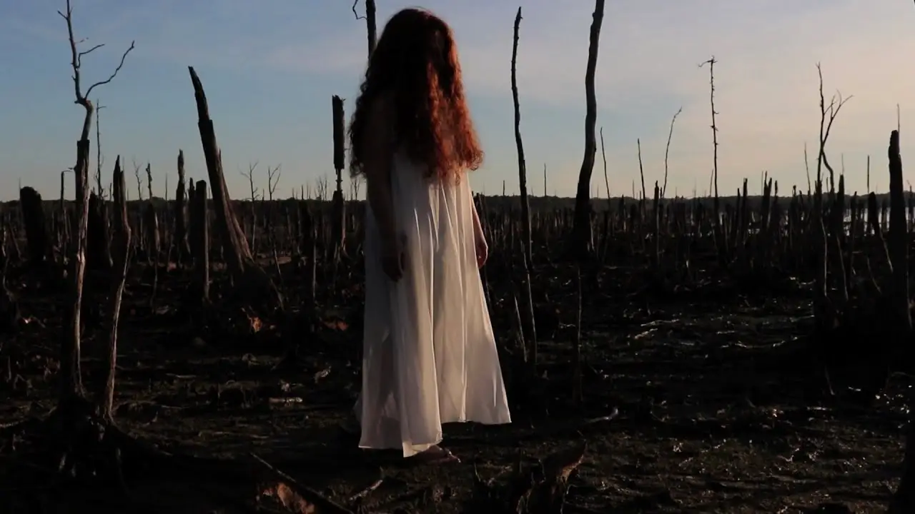 Girl in white dress stands in a barren field