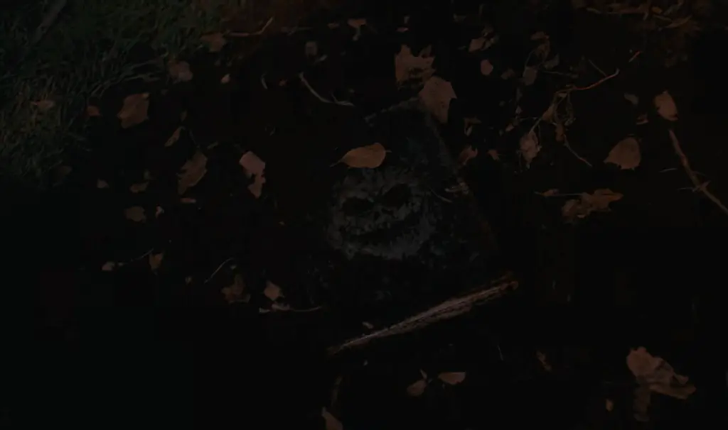 An evil, mysterious book in a horror movie? What will they think of next?