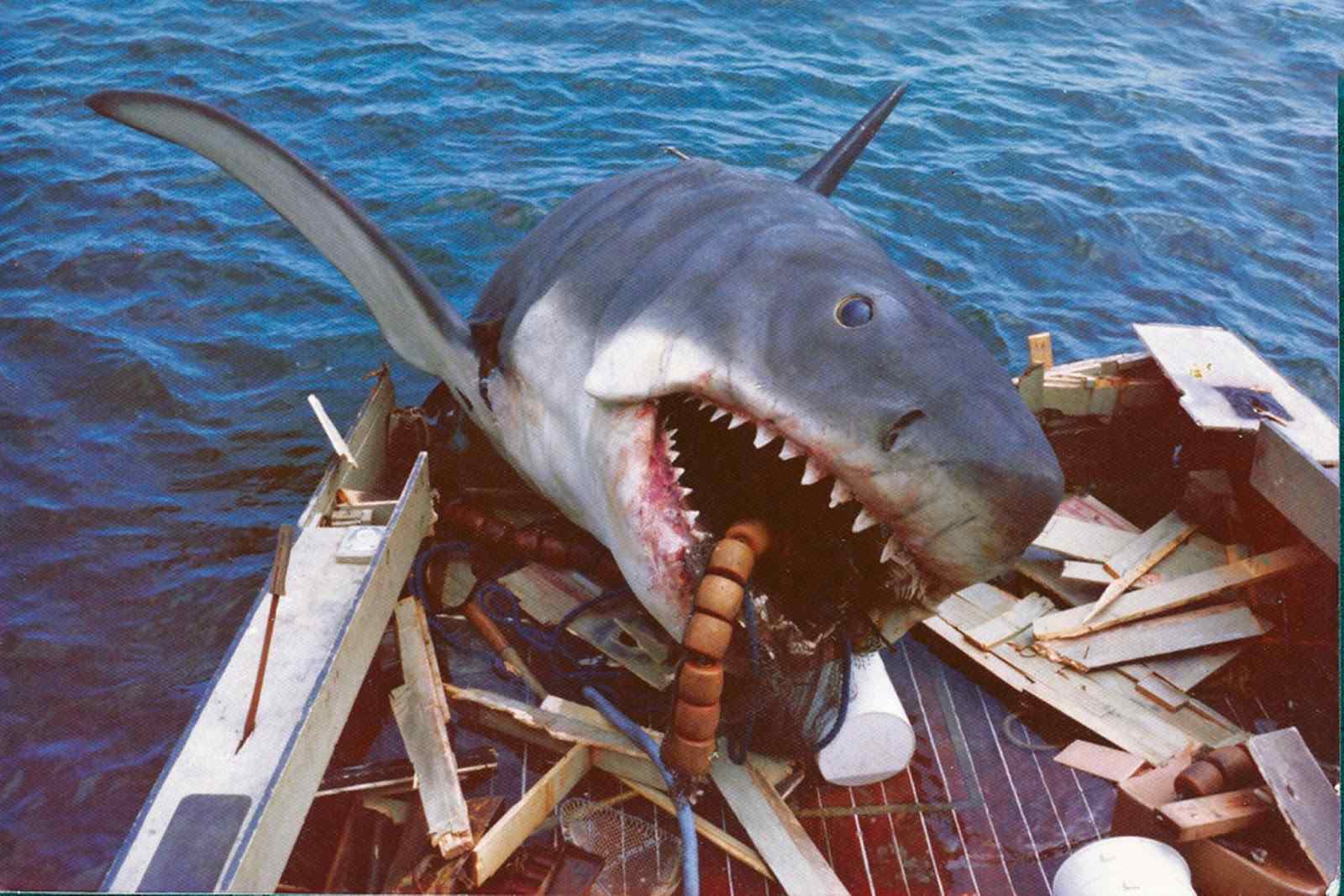 The movie poster for Jaws directed by Steven Spielberg.
