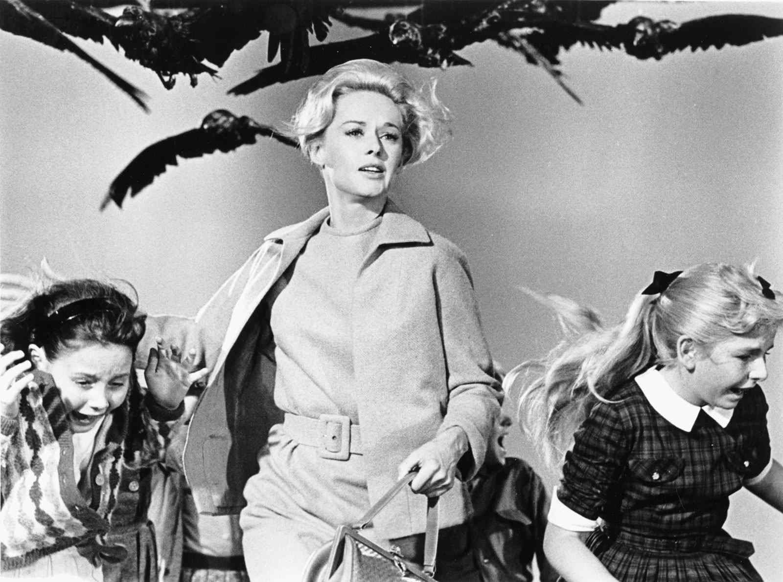 The Birds directed by Alfred Hitchcock.