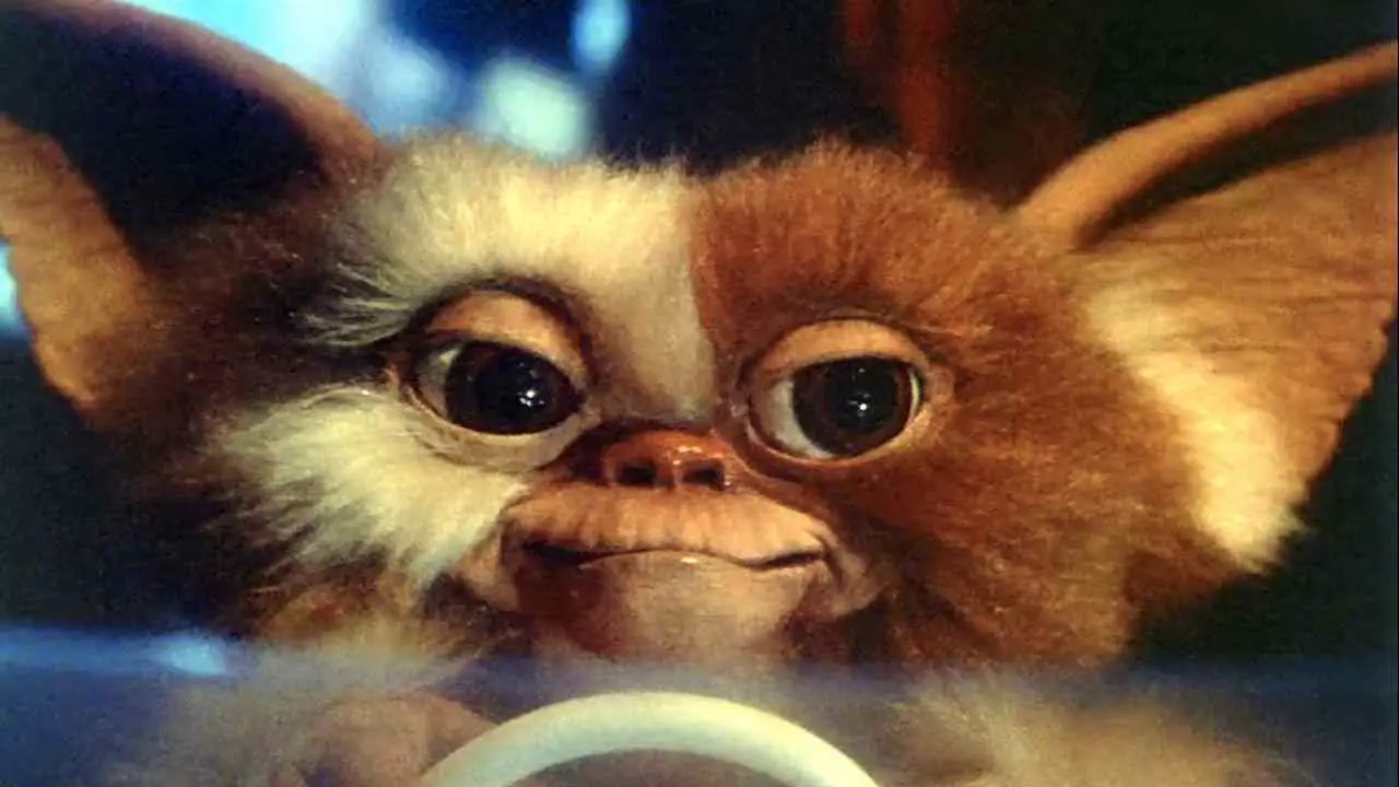 Gizmo, the original Mogwai in the Joe Dante directed horror-comedy Gremlins.