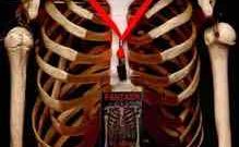 Poster for Kyle Kuchta's Fantasm