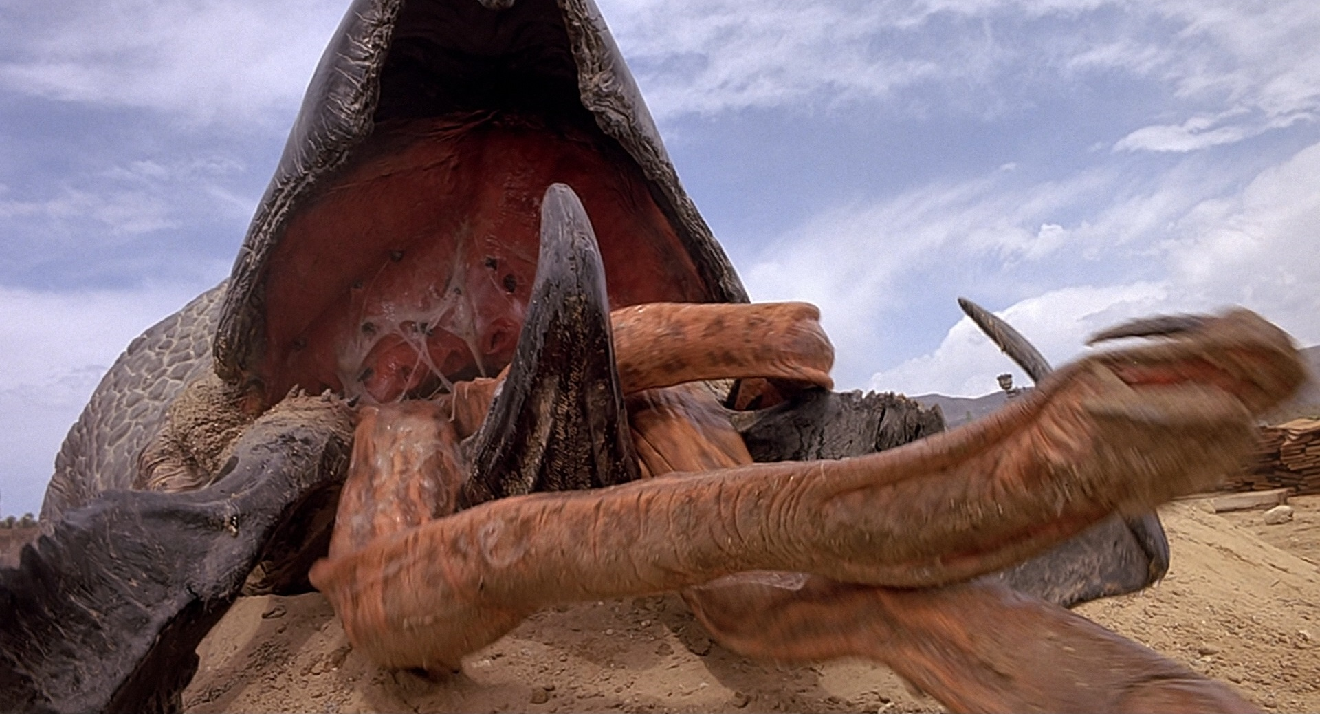 In the popular 1990 creature feature Tremors, the creature in question was a large underground worm called a Graboid.