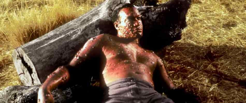 Origins of Candyman in Candyman 2: Farewell to the Flesh