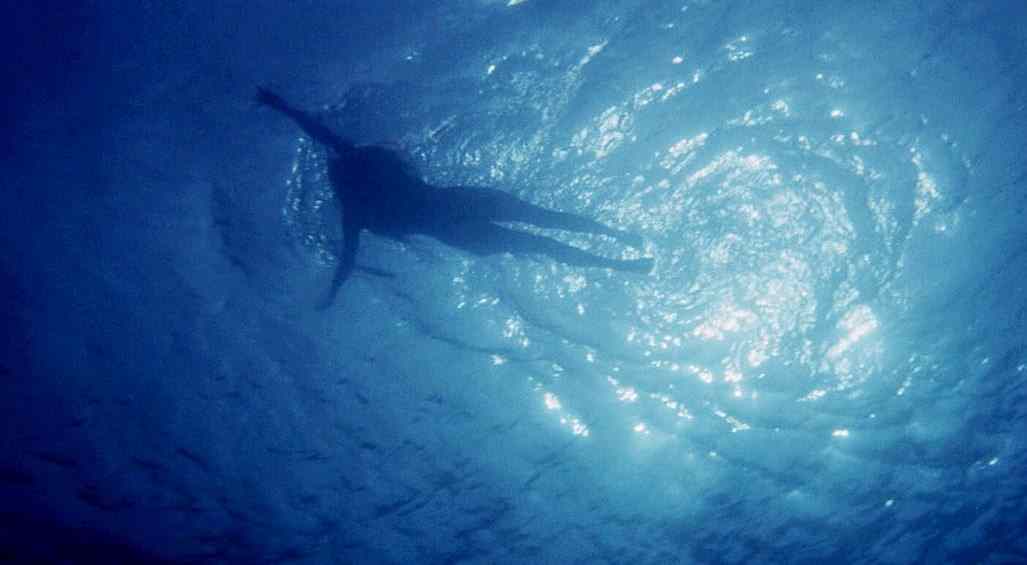 Underwater shot in Jaws