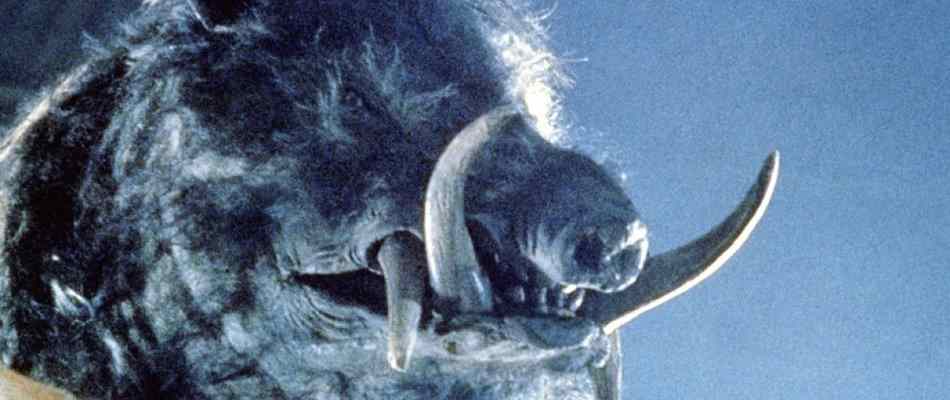 Killer razorback boar from 1984's Razorback