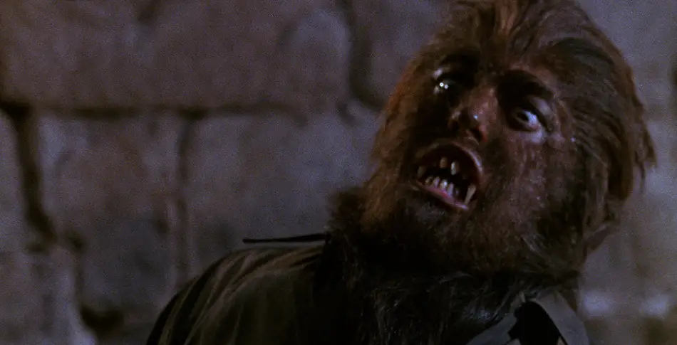Paul Naschy as the werewolf in his long-running series of werewolf films.