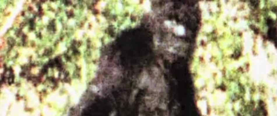 The Truth Behind: Bigfoot, documentary from 2009.