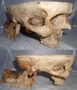 Skull Bowls 