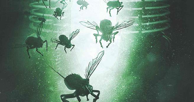 The Fly Outbreak