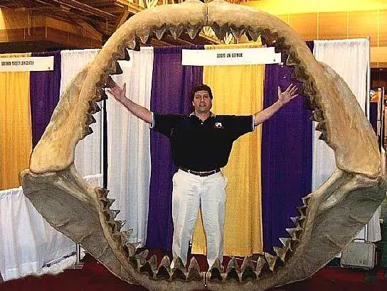 Author Steve Alten standing inside the biggest jaws of a megalodon.