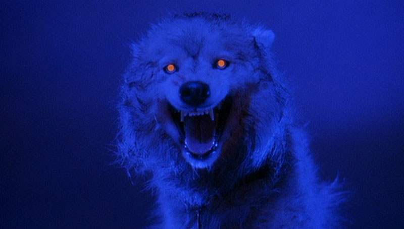 Zowie in Pet Sematary Two
