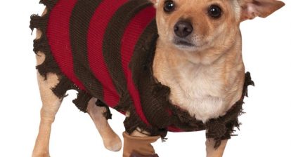 Freddy Krueger Dog Costume