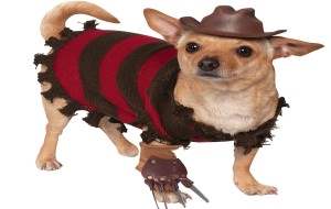 Freddy_Kruger_Dog_Costume2