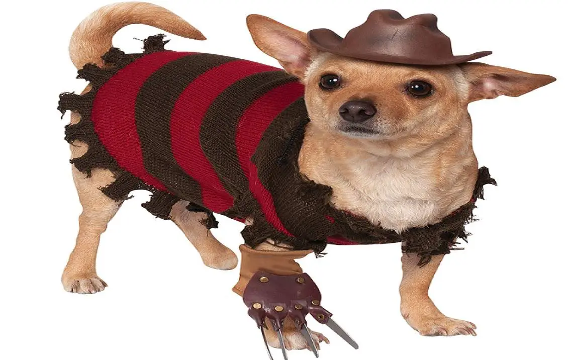 Dog Costumes to Dress Your Pet as Freddy or Jason