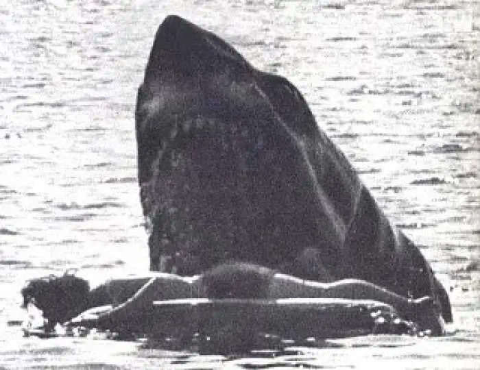 Jaws unused raft death still