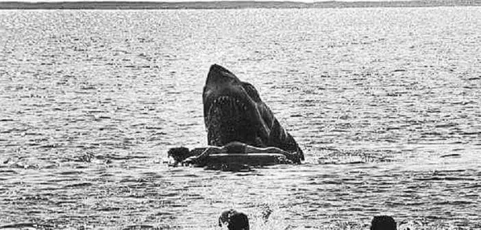 Unused death scene footage from Jaws