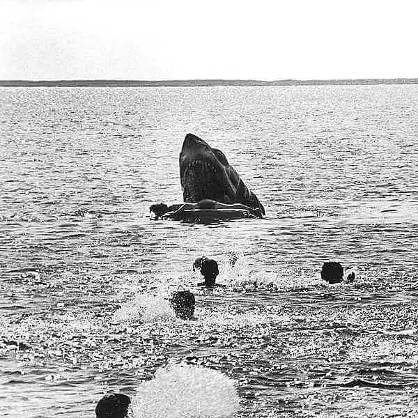 unused raft death scene still from Jaws