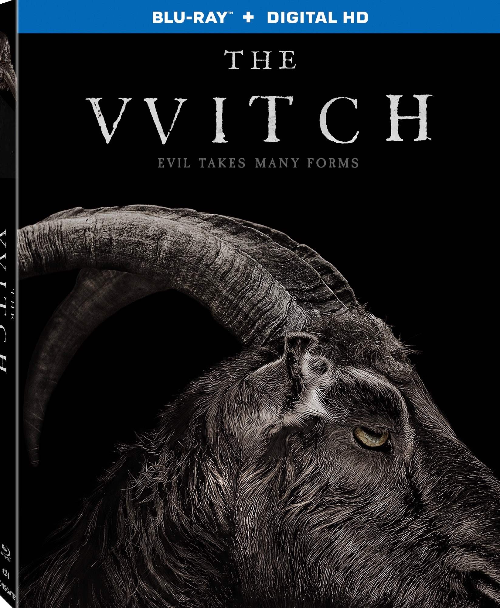 The Witch Blu-ray Art