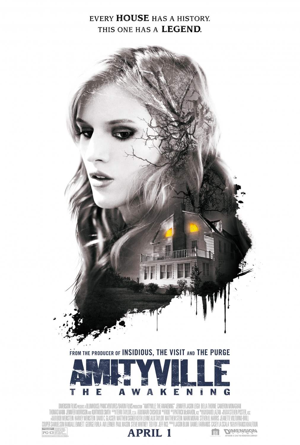 AmityvilleL The Awakening 