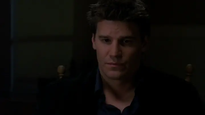 David Boreanaz as Angel