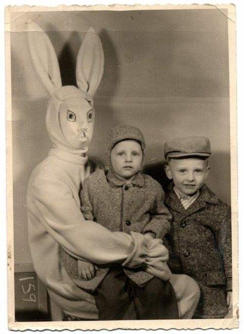 Evil easter bunnies.