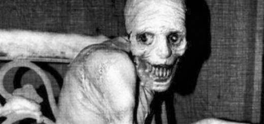 creepypasta russian sleep experiment