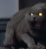 pet sematary - Unearthed & Untold