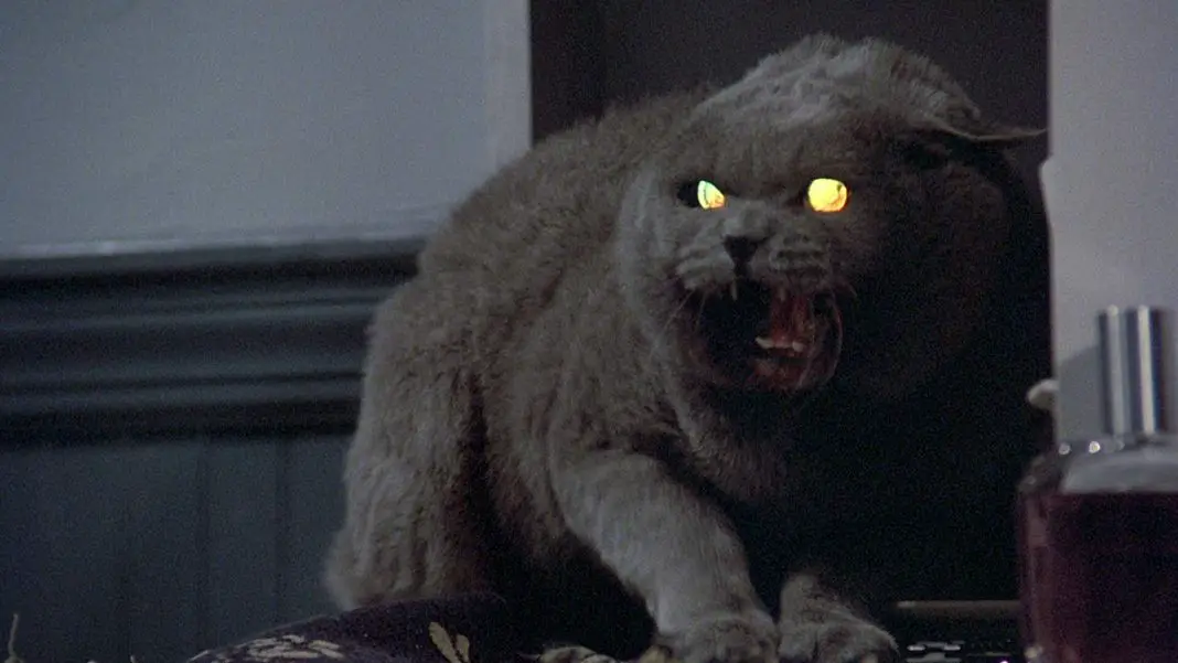 pet-sematary-pic-2