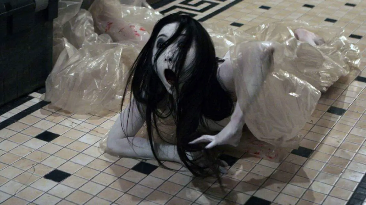 Sadako Vs Kayako demon bag