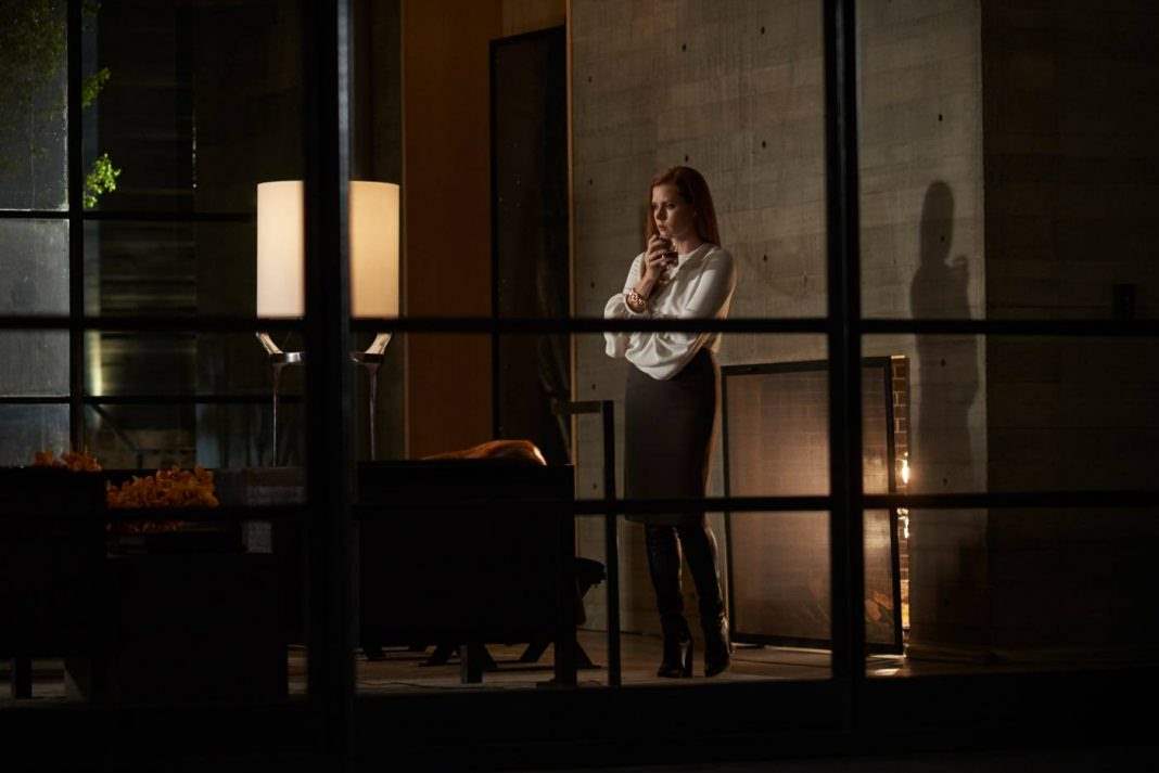 Amy Adams in Nocturnal Animals wine