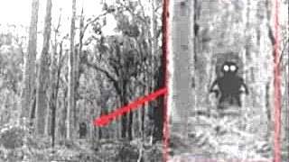 The Flatwoods Monster