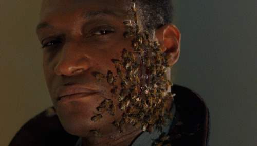 Candyman: Farewell to the Flesh