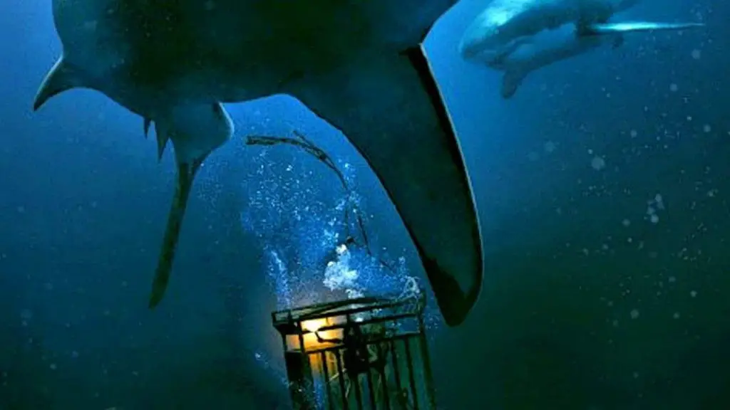 47 Meters Down 1