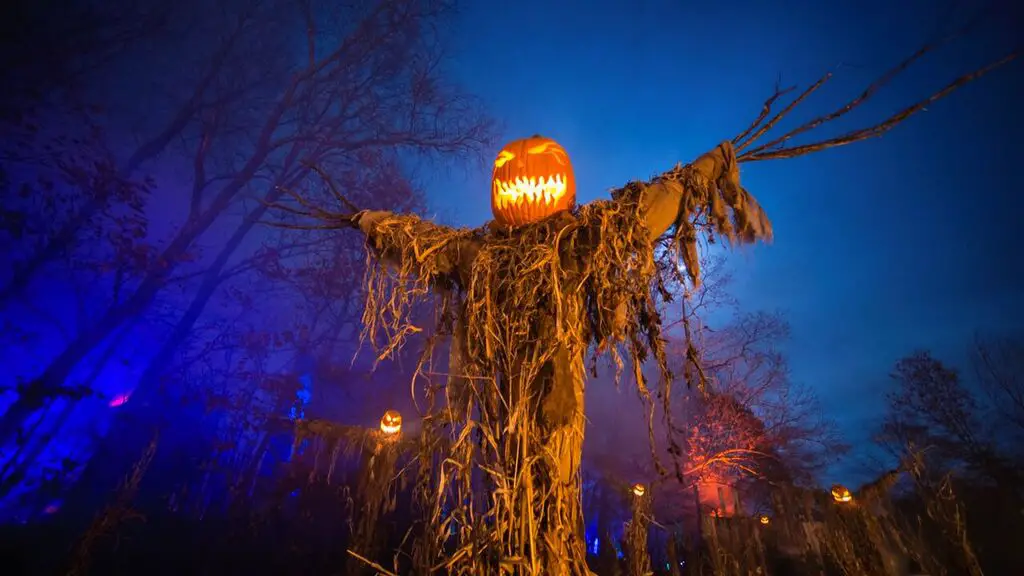 Haunters pumpkin