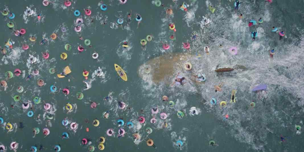 The Meg swims