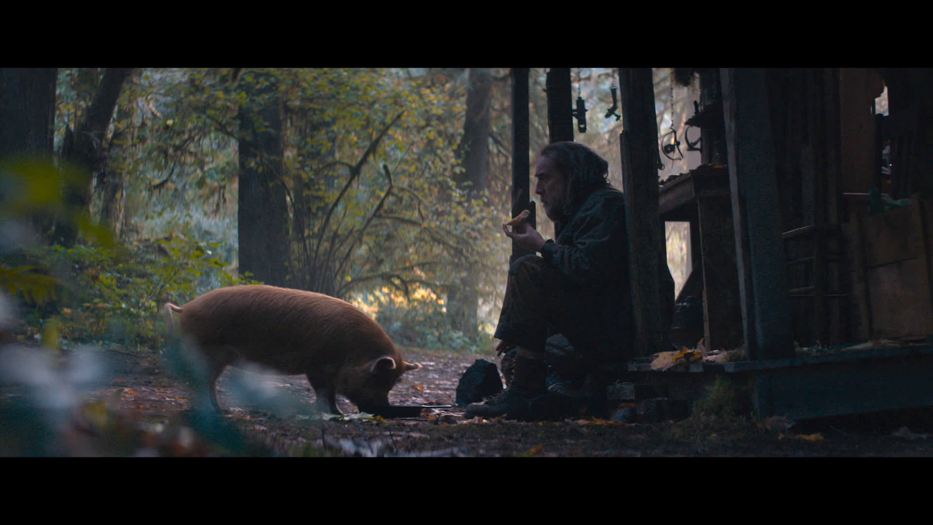 Nick Cage and His Pig