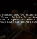 Looking for some found footage horror movies sans a supernatural hook? Wicked Horror's got you covered!