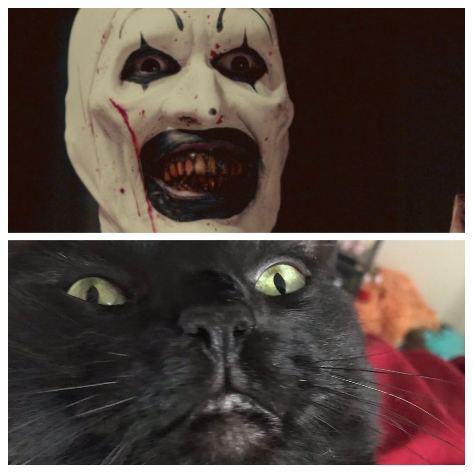 How My Cat Spawned My Love of Art the Clown